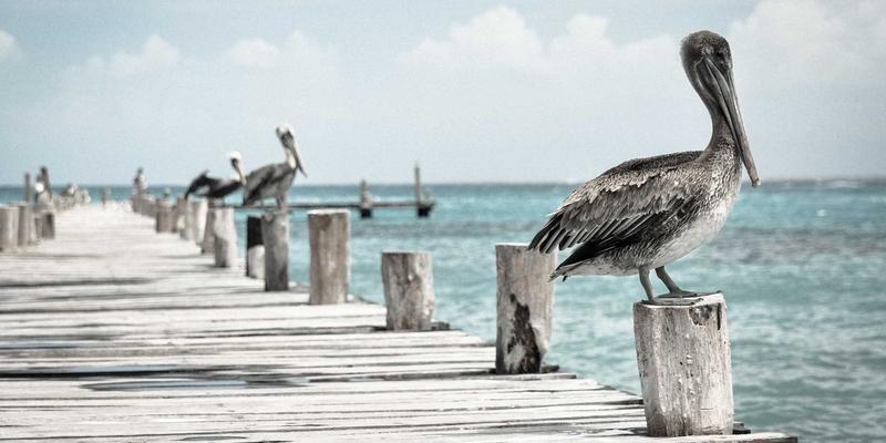 如何用Apache POI高效写入JSON数组数据到Excel?