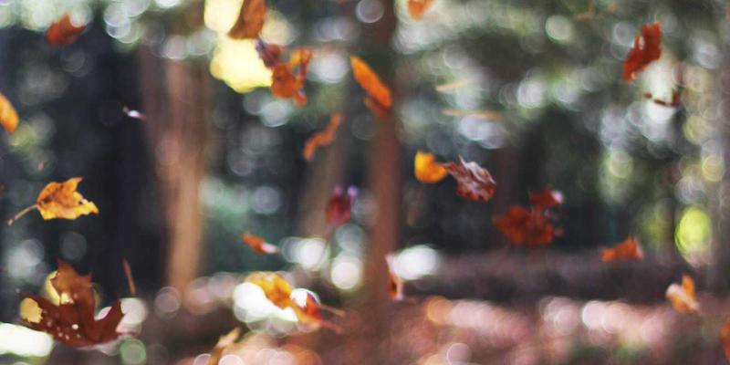 Linux下怎样安装和配置Apache服务?常见问题与注意事项有哪些