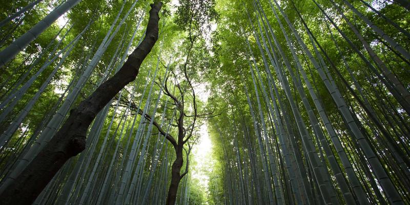 如何用Ruby过滤NetFlow数据中的异常流量记录？