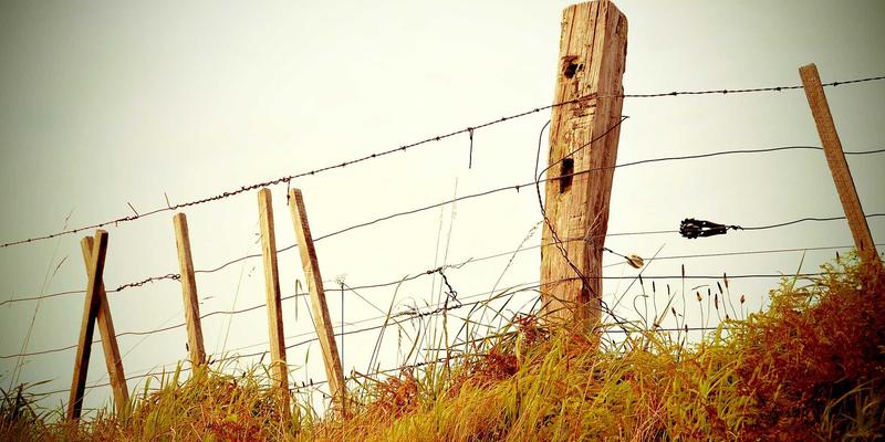 网站为什么没有营销力?这几点没搞懂流量再多也白搭